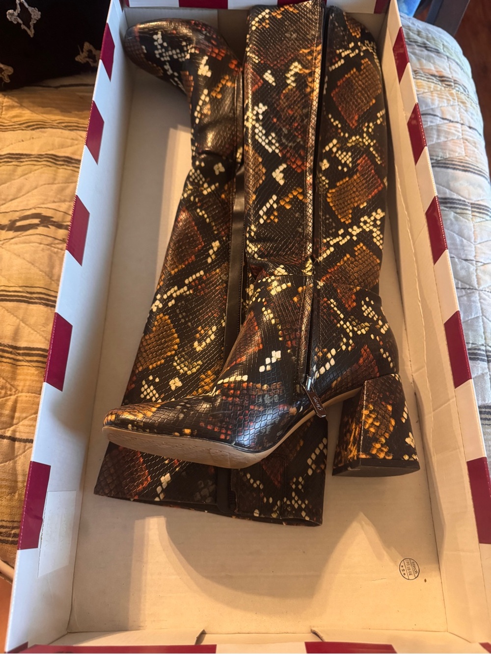 Circus by Sam Edelman Over-the-Knee Snake-Print Boots in Black & Brown